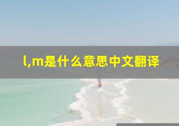 l,m是什么意思中文翻译