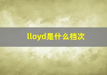 lloyd是什么档次