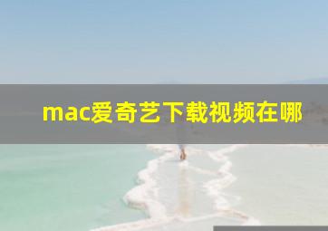 mac爱奇艺下载视频在哪