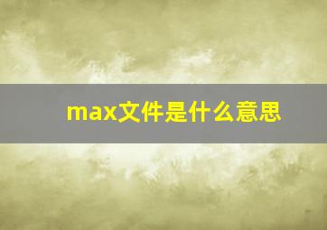 max文件是什么意思