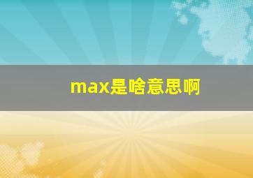 max是啥意思啊