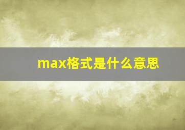 max格式是什么意思