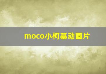 moco小柯基动画片