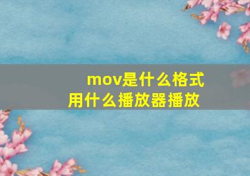 mov是什么格式用什么播放器播放