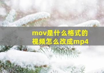 mov是什么格式的视频怎么改成mp4