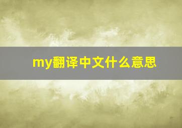 my翻译中文什么意思