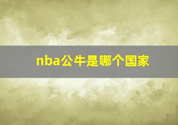 nba公牛是哪个国家