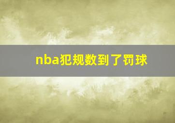 nba犯规数到了罚球