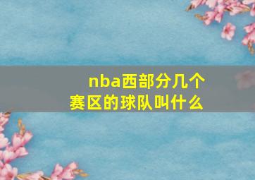 nba西部分几个赛区的球队叫什么