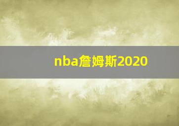 nba詹姆斯2020