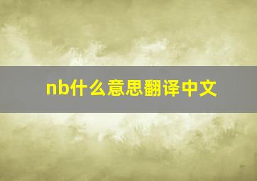 nb什么意思翻译中文