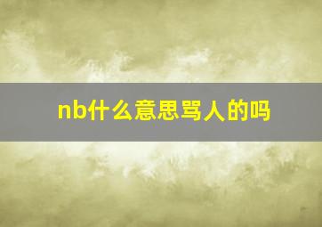 nb什么意思骂人的吗