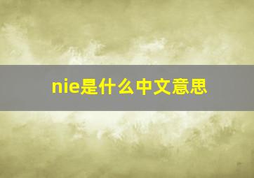 nie是什么中文意思