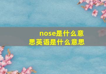 nose是什么意思英语是什么意思