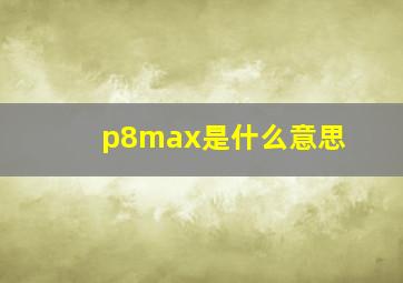 p8max是什么意思