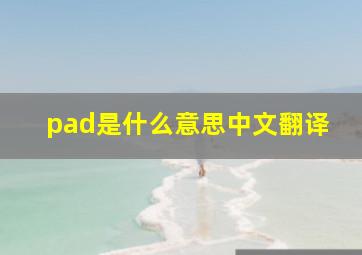 pad是什么意思中文翻译