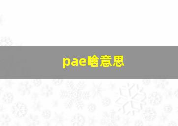 pae啥意思