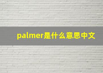 palmer是什么意思中文