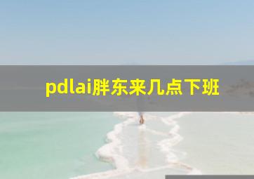 pdlai胖东来几点下班