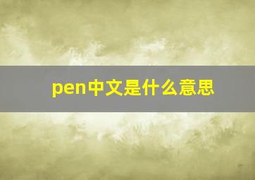 pen中文是什么意思