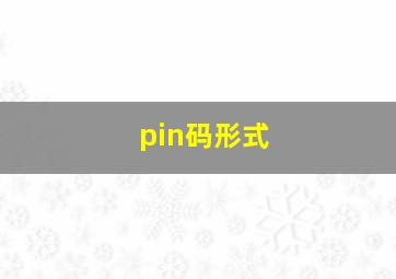 pin码形式