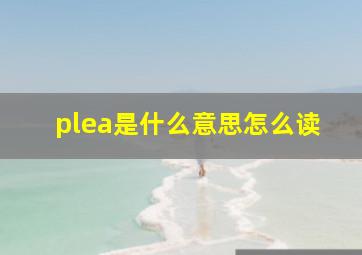 plea是什么意思怎么读