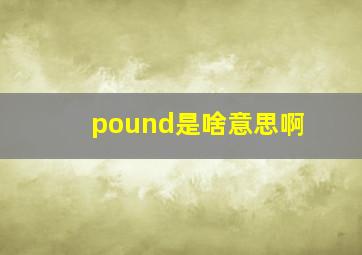 pound是啥意思啊