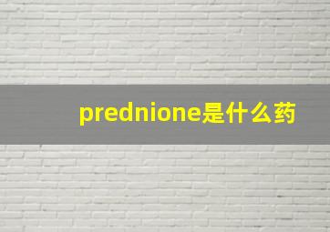 prednione是什么药