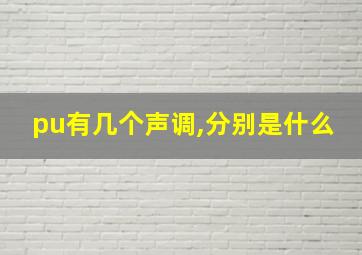 pu有几个声调,分别是什么