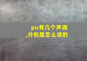 pu有几个声调,分别是怎么读的