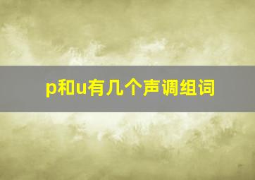 p和u有几个声调组词