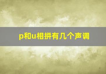 p和u相拼有几个声调