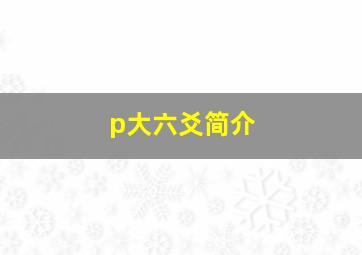 p大六爻简介