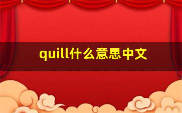 quill什么意思中文