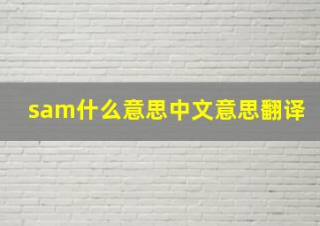 sam什么意思中文意思翻译