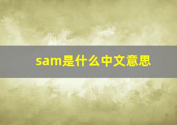 sam是什么中文意思