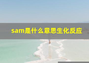 sam是什么意思生化反应