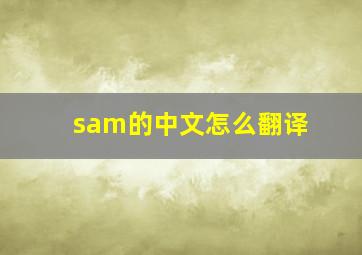 sam的中文怎么翻译