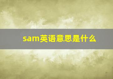 sam英语意思是什么