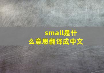 small是什么意思翻译成中文