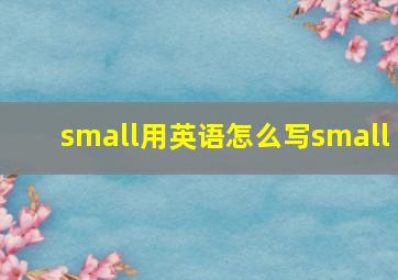 small用英语怎么写small