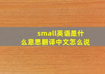 small英语是什么意思翻译中文怎么说