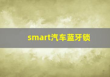 smart汽车蓝牙锁