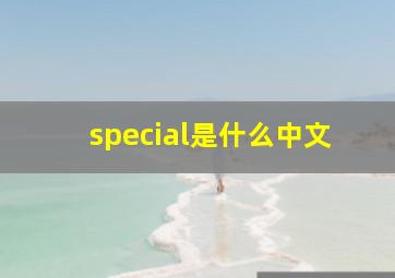 special是什么中文