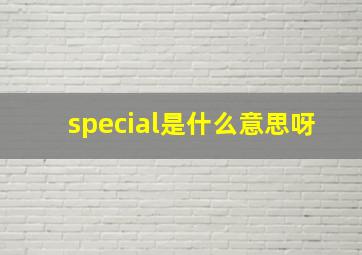 special是什么意思呀