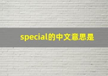 special的中文意思是