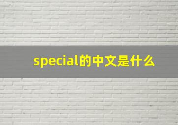 special的中文是什么