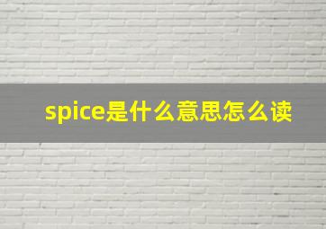 spice是什么意思怎么读