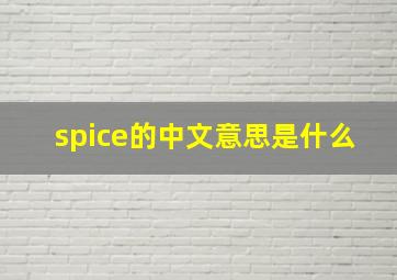 spice的中文意思是什么