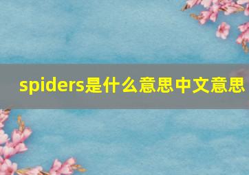 spiders是什么意思中文意思